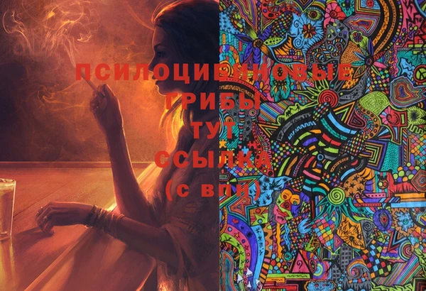 бошки Алексеевка