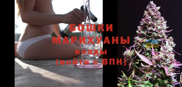 бошки Алексин