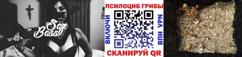продажа наркотиков  Бобров  Галлюциногенные грибы мицелий 